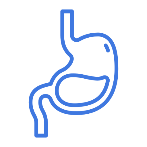 gastric bypass iconset