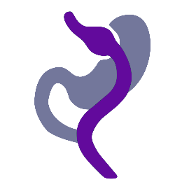 RNY Gastric Bypass Turkey icon